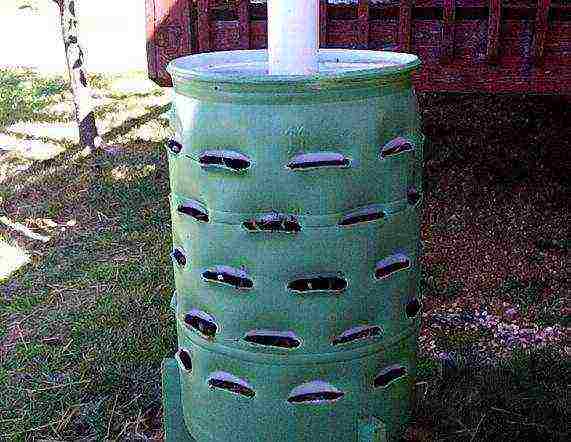 can strawberries be grown in plastic bottles