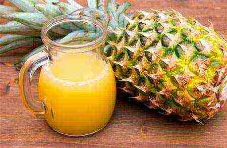 is it possible to grow pineapple at home