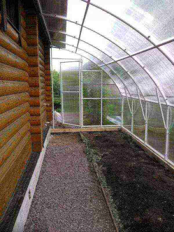 is it possible to grow strawberries in a greenhouse all year round