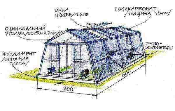 posible bang palaguin ang mga strawberry sa isang greenhouse buong taon