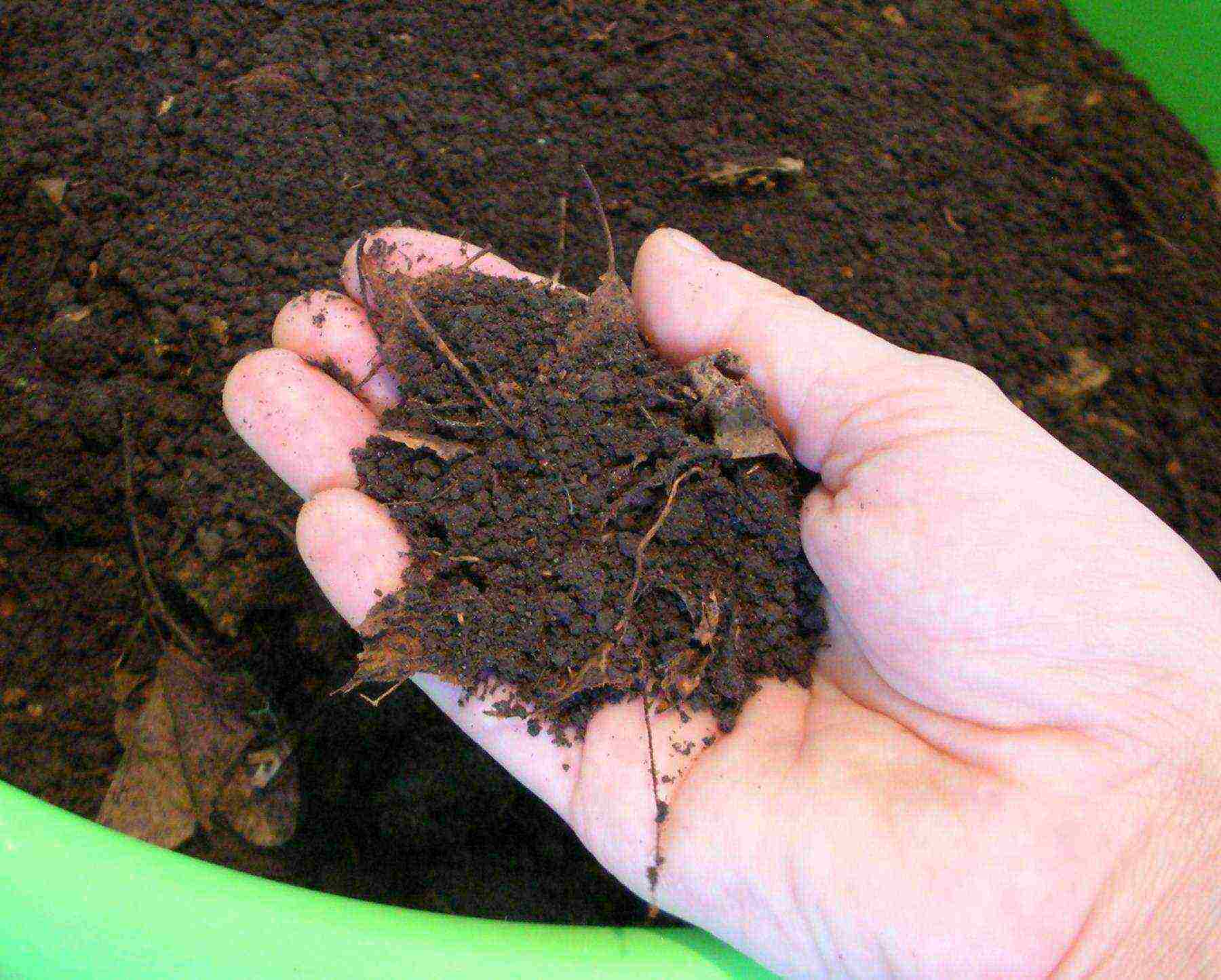 is it possible to grow cucumbers in a polycarbonate greenhouse