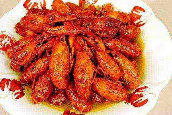 is it possible to grow crayfish in artificial reservoirs