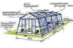 is it possible to grow remontant strawberries in a greenhouse