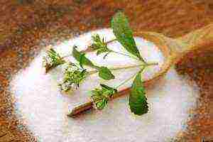 is it possible to grow stevia at home