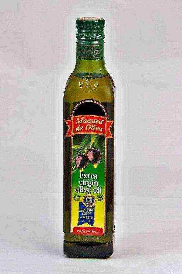 olive oil the best varieties
