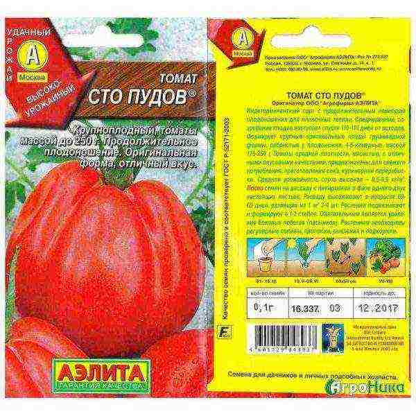 tomatoes the best varieties tall