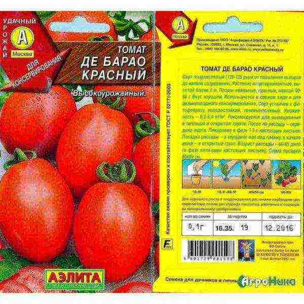 tomatoes the best varieties tall