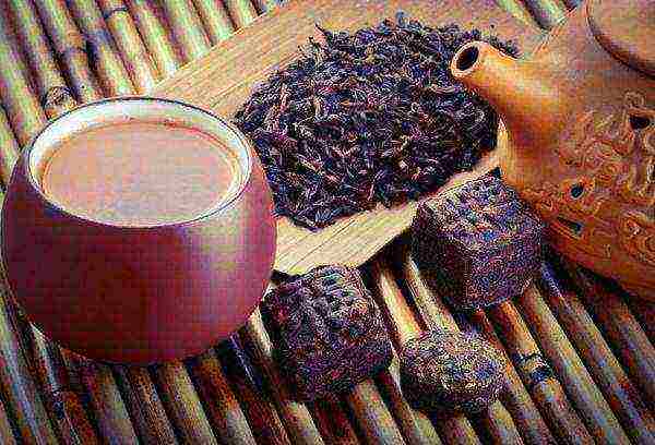 أفضل أنواع الشاي pu-erh