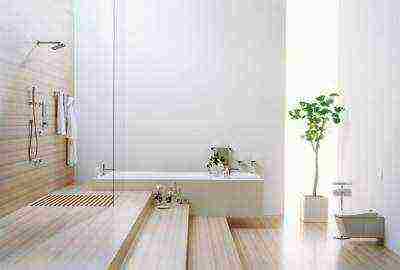 plants that can be grown in the bathroom