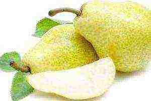 the best varieties of pears