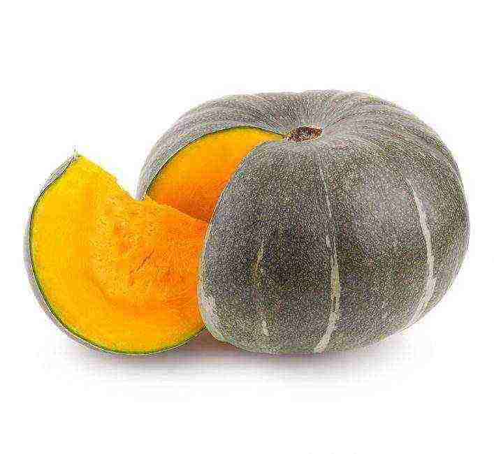 the nicest pumpkin varieties