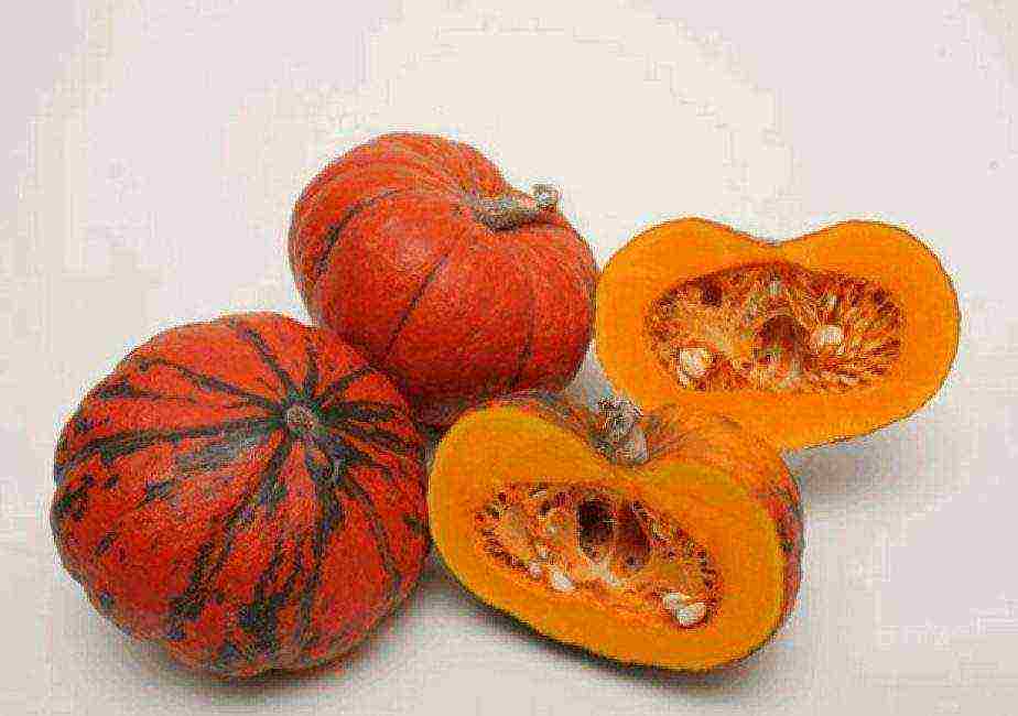 the nicest pumpkin varieties