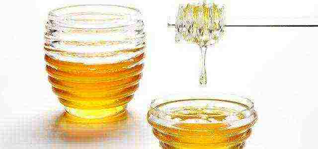 the best sort of honey