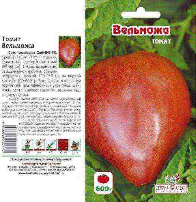 tomato seeds of the best varieties