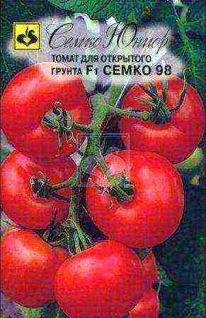 Semko tomatoes are the best varieties