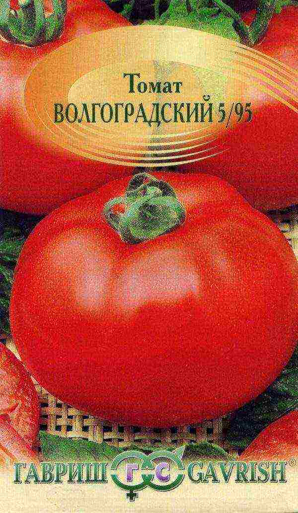 varieties of tomatoes grown in the Volgograd region