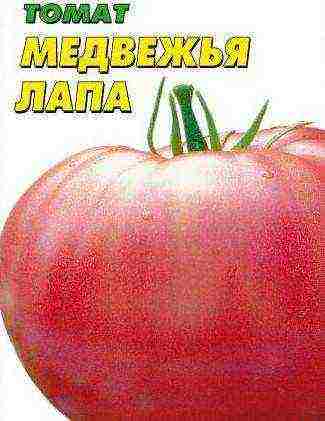 large tomatoes, best varieties