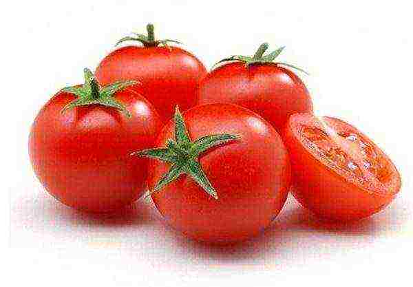 tomatoes are the best varieties of cherry