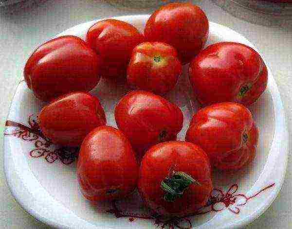 tomatoes are the best varieties of cherry