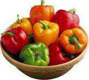 top of the best varieties of pepper