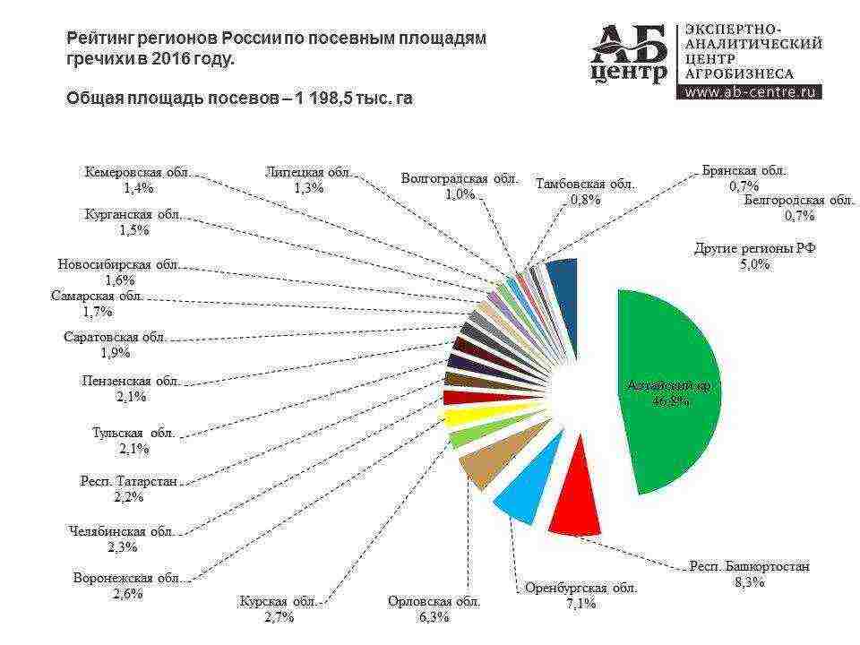 in which regions of russia buckwheat is grown in russia