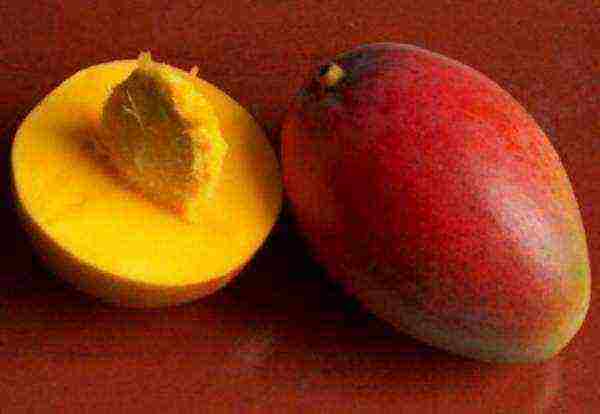 we grow mango from stone at home