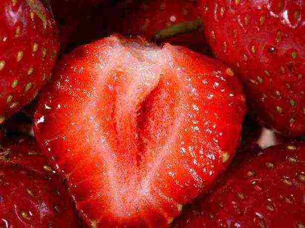 grow strawberries at home