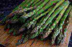 grow asparagus at home