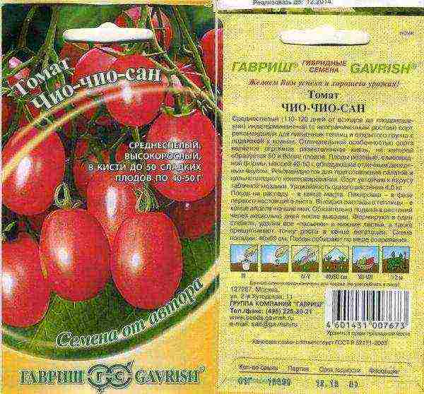 Top 10 Tomato Varieties