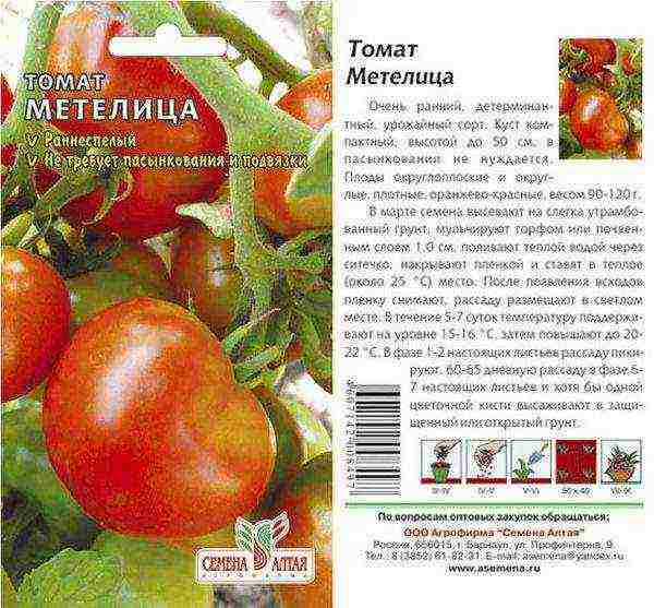 Top 10 Tomato Varieties