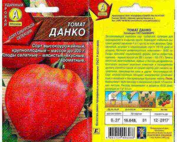 Top 10 Tomato Varieties