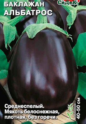eggplants for the Moscow region the best varieties