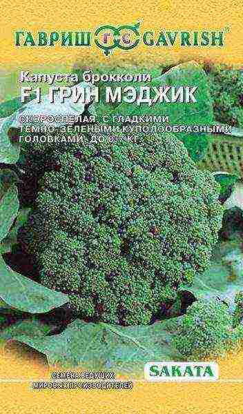 broccoli ang pinakamahusay na mga varieties para sa siberia