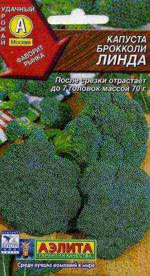 broccoli ang pinakamahusay na mga varieties para sa siberia