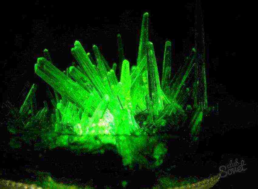 why grow crystals at home