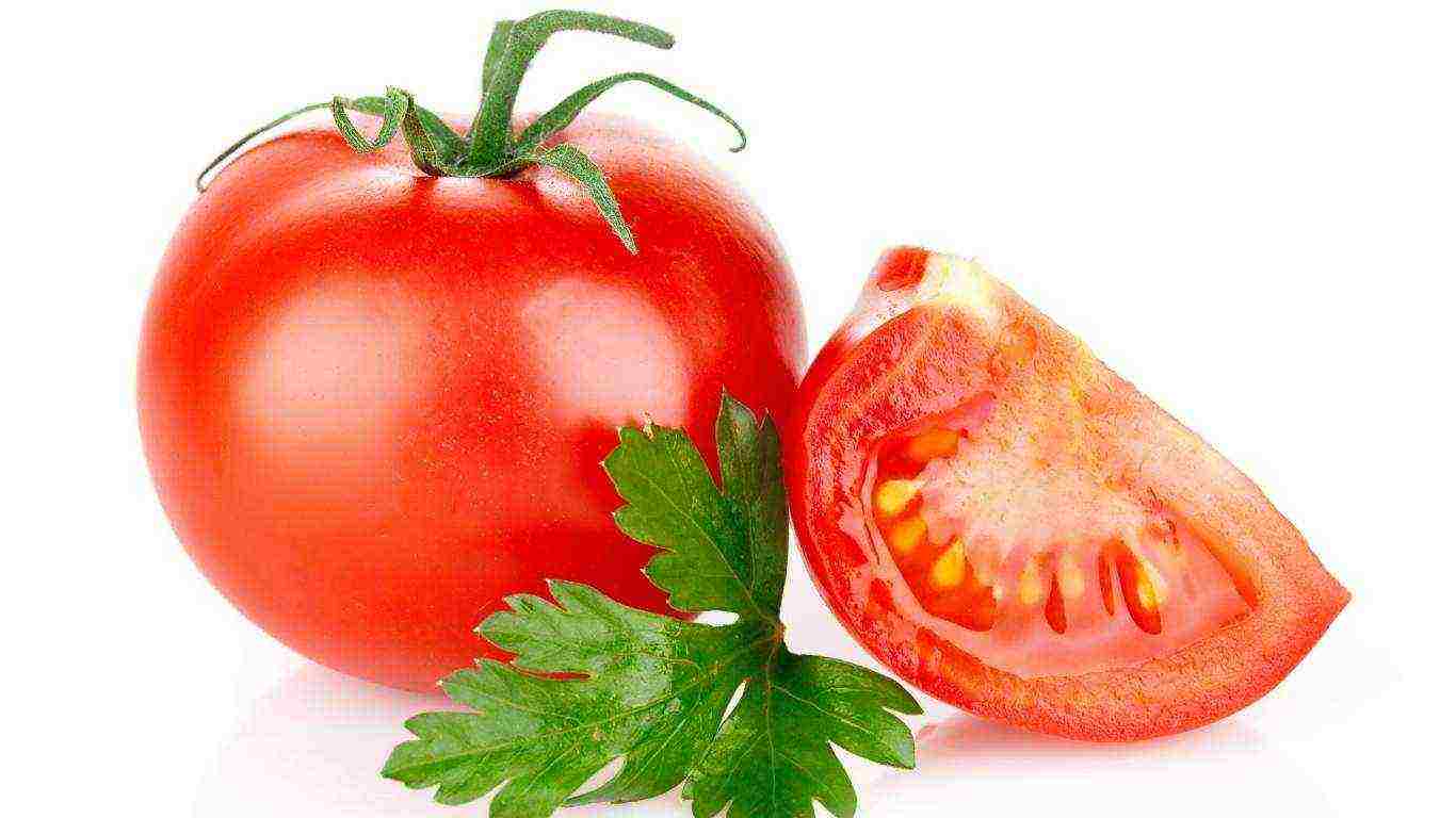 ganichkina the best varieties of tomato