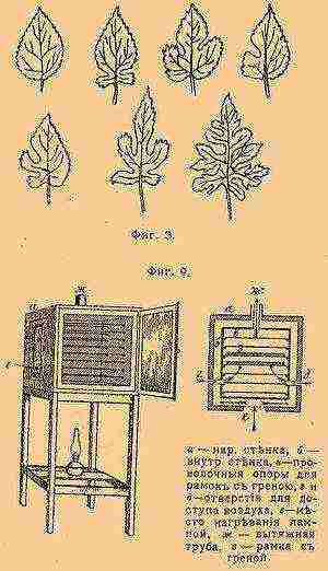 where cotton is grown and sericulture is developed