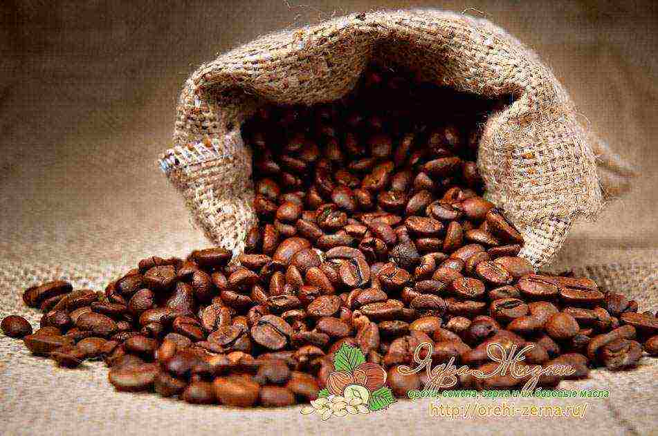 good coffee beans