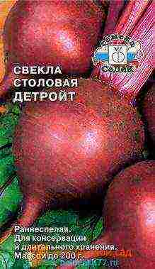 good varieties of red beet