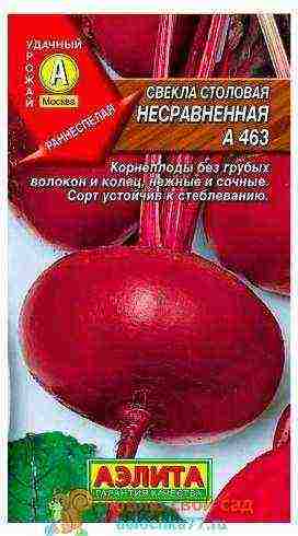 good varieties of red beet