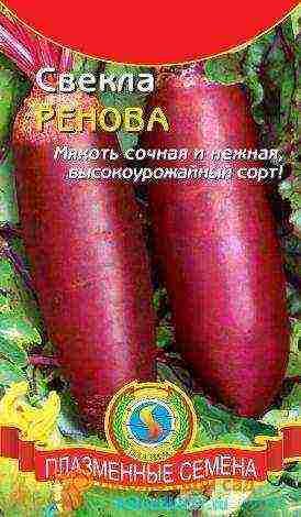 good varieties of red beet