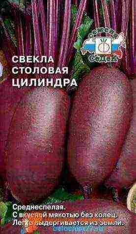 good varieties of red beet