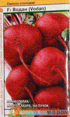 good varieties of red beet