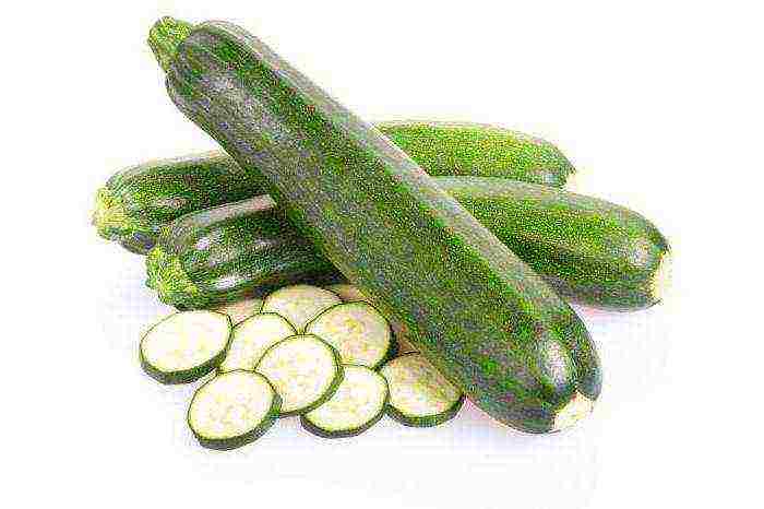 zucchini zucchini pinakamahusay na mga pagkakaiba-iba