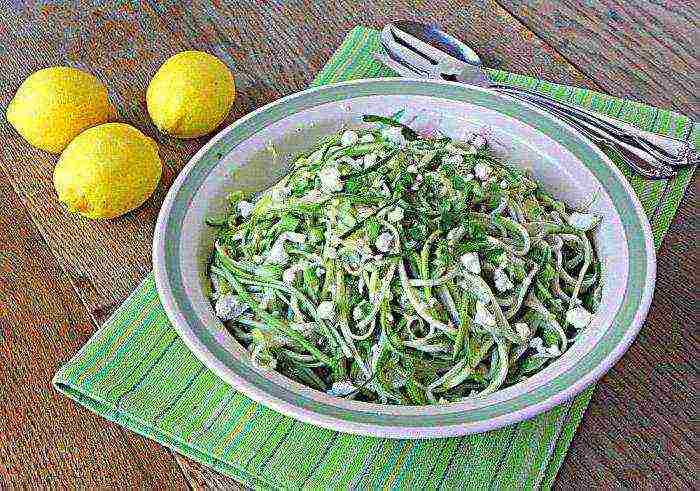 zucchini zucchini pinakamahusay na mga pagkakaiba-iba