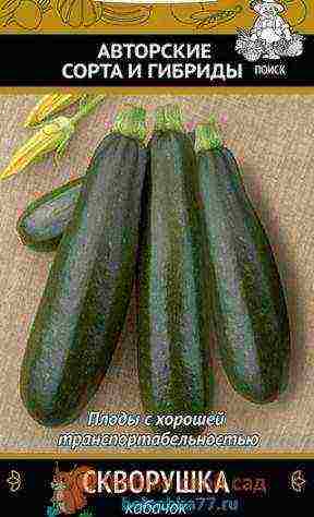 zucchini which varieties are better