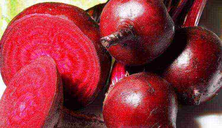 how to properly grow beets outdoors