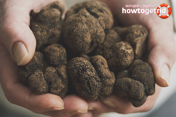 how to grow a truffle at home