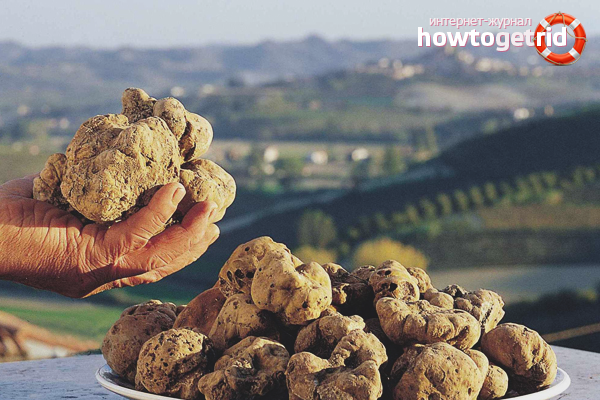 how to grow a truffle at home