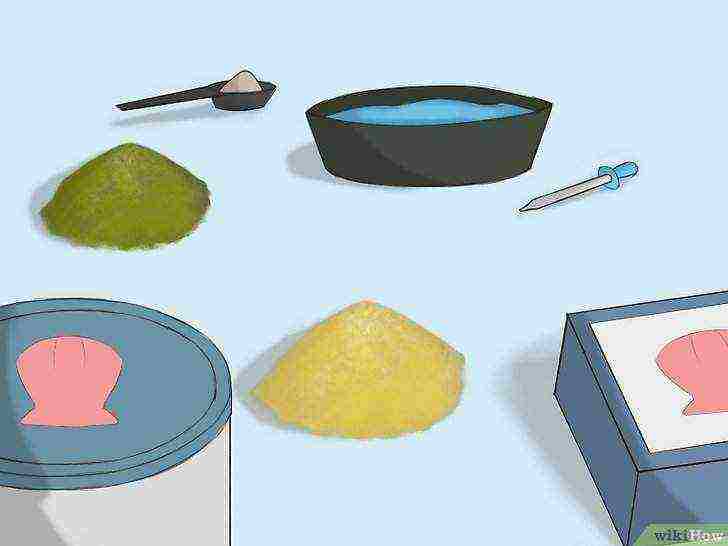 how to grow brine shrimp at home